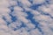 Blue sky and white cloud background in the sky with Altocumulus Perlucidus or Stratocumulus Perlucidus Cloud Background.