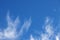 Blue sky with white cloud scenic photo. Thin cirrus cloud on blue. Skyscape abstraction. Optimistic sunny sky view