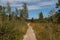 Blue sky and white clouds above a pebble path and trees in a moorland Murnauer Moos in a cozy rural countryside