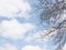 Blue sky with white clouds, early spring tree branches