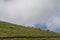 With blue sky, white clouds and lake water, Qinghai Lake in China has horses, sheep and cattle on the grassland