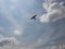 blue sky with white clouds and the silhouette of an airplane