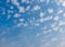 Blue sky with white cumulus clouds wallpaper, bird flying high in sky background, nature photography