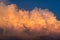 Blue sky and white fluffy clouds on sunset sky. White cumulus clouds. Dramatic sky and clouds abstract background. Warm weather