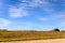 Blue sky with white, fluffy, tender cirrus clouds, yellow field, green grass, grain current, haystacks