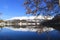 Blue sky, white mountain, lake and the withered tree