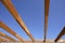 Blue sky wooden golden awning beams