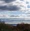 Blue skyirs over Walloon lake