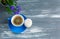 Blue small cup with coffee and macaroon on gray wooden table. Nice summer background with a blue flower in a pot.