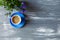 Blue small cup with coffee and macaroon on gray wooden table. Nice summer background with a blue flower in a pot. Spring card
