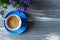 Blue small cup with coffee and macaroon on gray wooden table. Nice summer background with a blue flower in a pot. Spring card