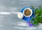 Blue small cup with coffee and macaroon on gray wooden table. Nice summer background with a blue flower in a pot. Spring card