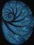 Blue Snail Shell Fossil Spiral