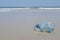 Blue Snorkel on the beach.