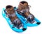 Blue Snowshoes