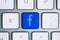 Blue social network button