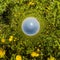 Blue sphere little planet inside dandelion field