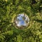 Blue sphere little planet inside gravel road or field background