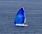 Blue Spinnaker On Lake Michigan