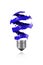 Blue spiral paint trace made light bulb