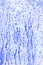 Blue splatter on white surface