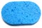 Blue Sponge