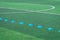 Blue sport Marker on green grass soccer football pitch
