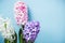 Blue Spring Floral Background. Hyacinth flowers