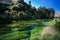 Blue Spring Putaruru, New Zealand