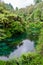 Blue Spring which is located at Te Waihou Walkway,Hamilton New Zealand.