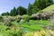 Blue Spring which is located at Te Waihou Walkway,Hamilton New Zealand.