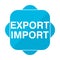 Blue square icon export import