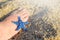 Blue starfish near foot on sand at the beach