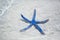 Blue starfish on perfect tropical sand beach
