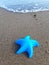 Blue starfish shaped children`s toy on wet sand