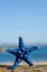 Blue starfish standing on rock at the beach. Blurred blue sea on background