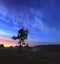 Blue starry sky over misty meadow at twilight