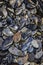 Blue stone lapis lazuli natural