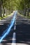 Blue streak of light on country road along trees