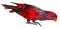 Blue-streaked Lory