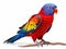 Blue streaked Lory  Made With Generative AI illustration