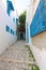 Blue streets of Sidi Bou Said in Tunisia