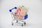 blue supermarket cart with money