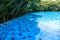 Blue swimming pool around with landscaping green garden