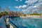 A blue swimming pool in a zoo for penguins and seals