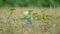 Blue Tailed Bee Eaters carrying food for their chicks