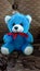 A blue teddy bear images,  soft toys stock photo