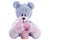 Blue teddy bear with pink blossom in a bucket