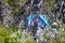 Blue tent of hikers in the mountain forest among the dried trees