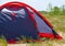 Blue tents set tourists on the beach